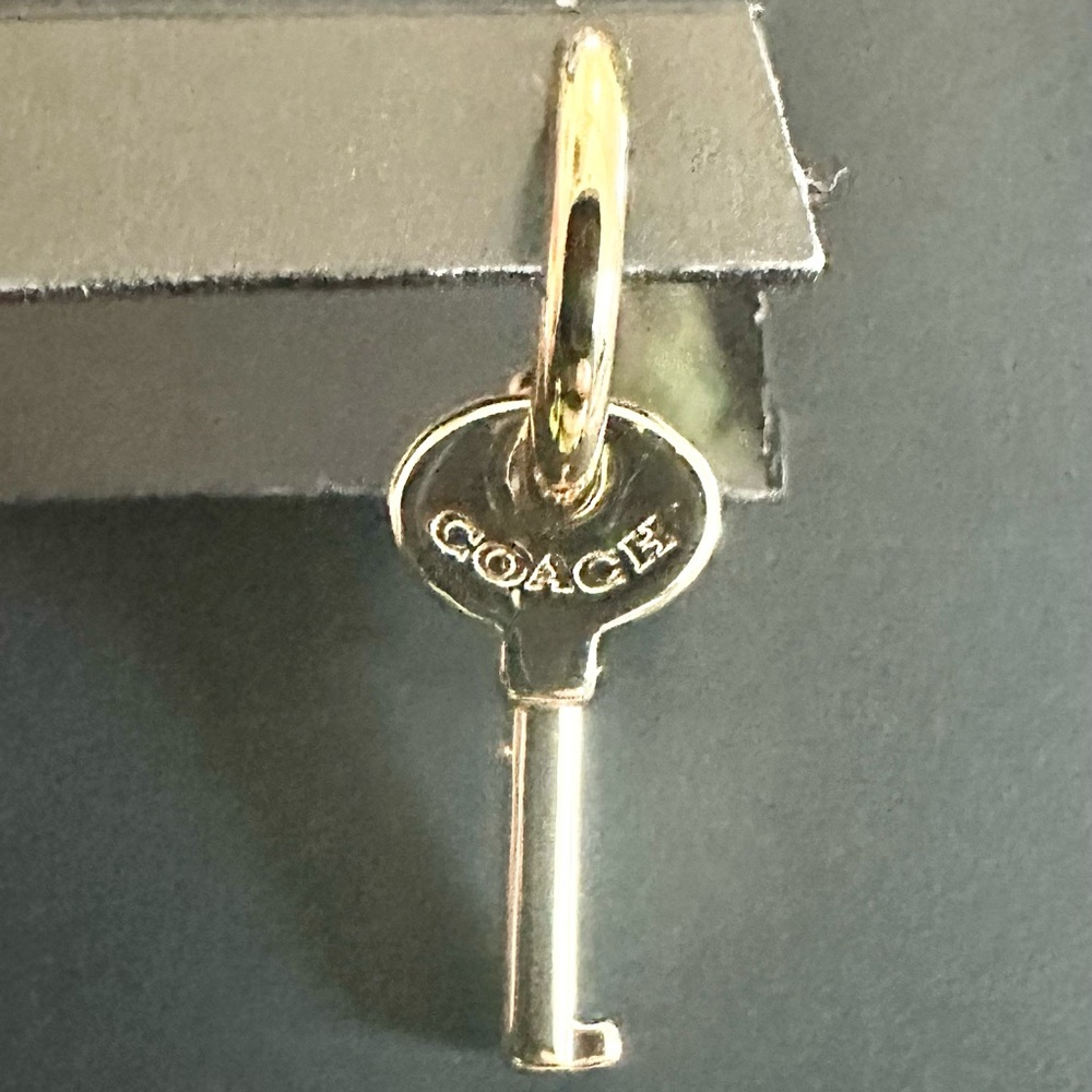 FREE FREE COACH earrings retail $95. With a $400 purchase. 2 n stock - Picture 4 of 6